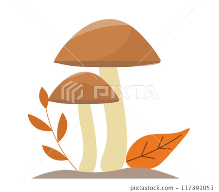 秋天的蘑菇和葉子。向量圖 117391051