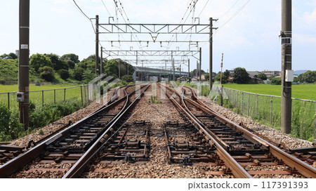 Double track railway in rice fields 117391393