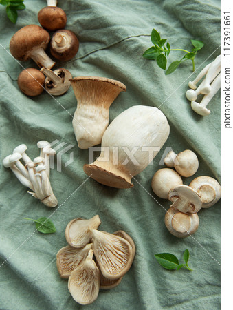 Assortment of various mushrooms Assortment of various mushrooms 117391661