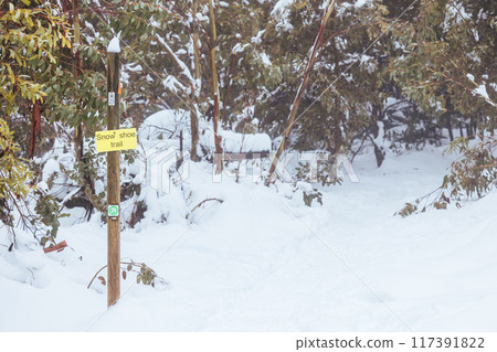 Family Snowshoeing and snow landscape at Lake Mountain Australia Family Snowshoeing and snow landscape at Lake Mountain Australia 117391822