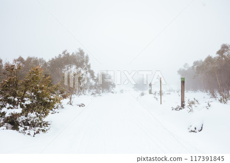 Family Snowshoeing and snow landscape at Lake Mountain Australia Family Snowshoeing and snow landscape at Lake Mountain Australia 117391845