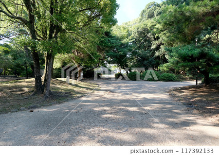 Toyohashi City, Aichi Prefecture_Toyohashi Park 12_July 2024 Toyohashi City, Aichi Prefecture_Toyohashi Park 12_July 2024 117392133