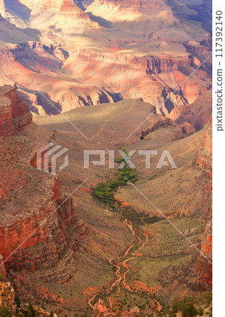 Spectacular views of the Grand Canyon in Arizona, USA Spectacular views of the Grand Canyon in Arizona, USA 117392140