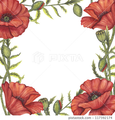 Red poppy flowers frame. Memorial Day, Anzac in Australia. Meadow wild blossom, field blooming. Hand drawn watercolor illustration isolated background. Template for invitations, wedding, festival Red poppy flowers frame. Memorial Day, Anzac in Australia. Meadow wild blossom, field blooming. Hand drawn watercolor illustration isolated background. Template for invitations, wedding, festival 117392174