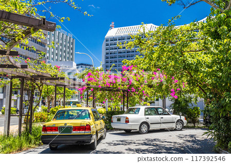 Okinawa Urban Monorail Prefectural Office Station Taxi Stand 117392546