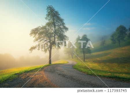 Country road in mountains in summer foggy morning. Nature Country road in mountains in summer foggy morning. Nature 117393745