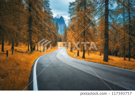 Road in colorful orange forest in autumn in Dolomites, Italy 117393757