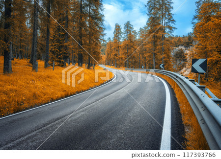 Road in colorful orange forest in autumn in Dolomites, Italy Road in colorful orange forest in autumn in Dolomites, Italy 117393766