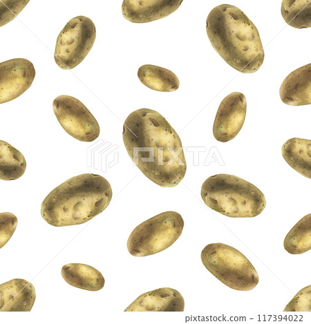 Whole tuber of white potatoes with brown skin. Watercolor illustration, hand drawn on the theme of harvest, cooking, food, packaging, vegetable shop design. Seamless simple pattern 117394022
