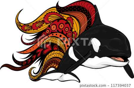 Killer Whale or Orca vector illustration design 117394037