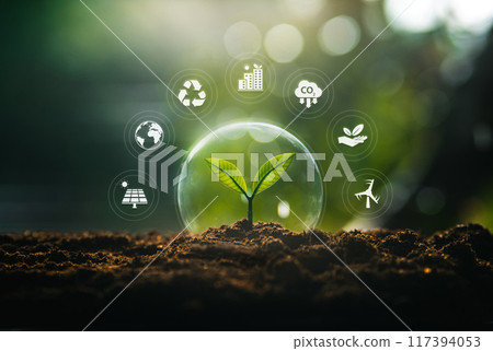 environment and natural treatment concept, bubbles protect plants in nature, and environment icons around bubbles 117394053