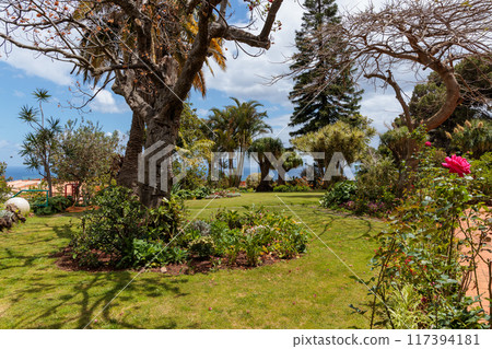Quinta Splendida Botanical Garden on the island of Madeira 117394181