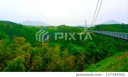 Kokonoe Dream Suspension Bridge and Shindo Falls (Otaki Falls) 117394302