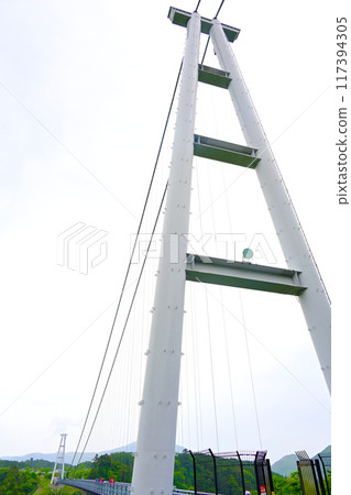大分縣九重夢吊橋 117394305