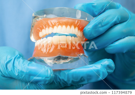Denture, dentist holding dental teeth model to study and treat in hospital. 117394879