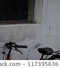 Cityscape with window and bicycle 117395636