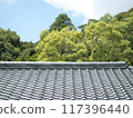 New roof tiles and green background 117396440