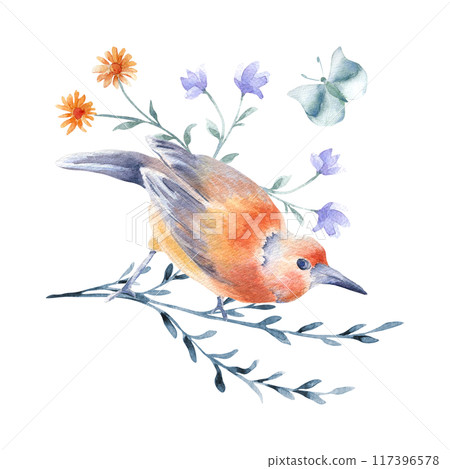 Bird orange and gray-blue feathers on twig hand drawn watercolor isolated. Bird butterfly and floral arrangement in botanical sketch. Garden summer illustration of orange bird and flowers painted. 117396578