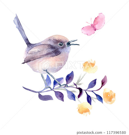 Small bird round body purples and pastel pinks plumage on branch hand drawn watercolor. Avian composition of singing bird butterfly and flower in botanical sketch. Bird art design for greeting card. Small bird round body purples and pastel pinks plumage on branch hand drawn watercolor. Avian composition of singing bird butterfly and flower in botanical sketch. Bird art design for greeting card. 117396580
