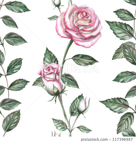 Seamless pattern with delicate roses on a white background. Watercolor illustration on the theme of flowers for printing on fabric, packaging, for holidays, weddings 117396987