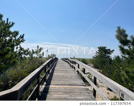 Boardwalk leading to the beach 117397654