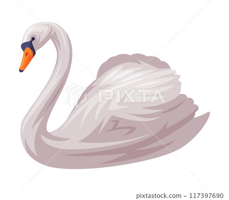 White Swan as Finland Symbol and Attribute Vector Illustration White Swan as Finland Symbol and Attribute Vector Illustration 117397690