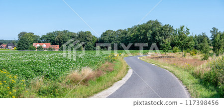 Bending asphalt road through the agriculture fields at the German countryside around Loningen, Lower Saxony, Germany Bending asphalt road through the agriculture fields at the German countryside around Loningen, Lower Saxony, Germany 117398456