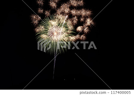 Radiating fireworks at the Kochi City Summer Fireworks Festival Radiating fireworks at the Kochi City Summer Fireworks Festival 117400005