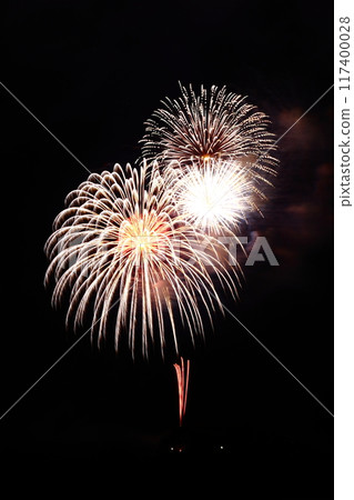 Radiating fireworks at the Kochi City Summer Fireworks Festival 117400028