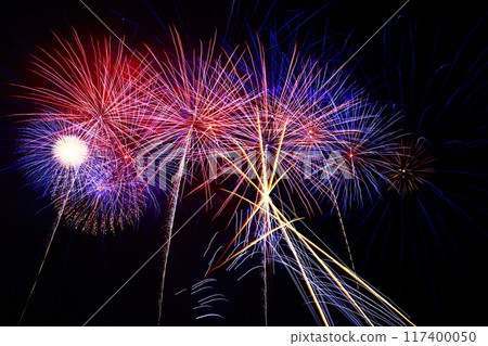 Radiating fireworks at the Kochi City Summer Fireworks Festival 117400050