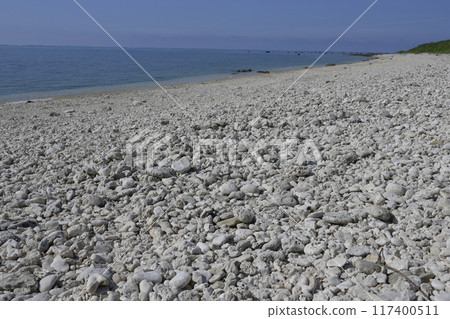Ishigaki Island Ishigaki Island 117400511