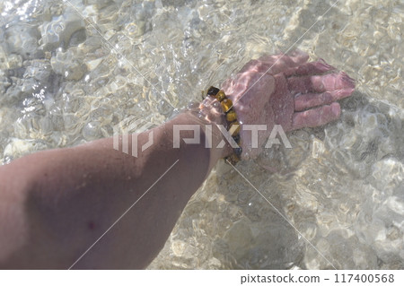 Ishigaki Island Ishigaki Island 117400568