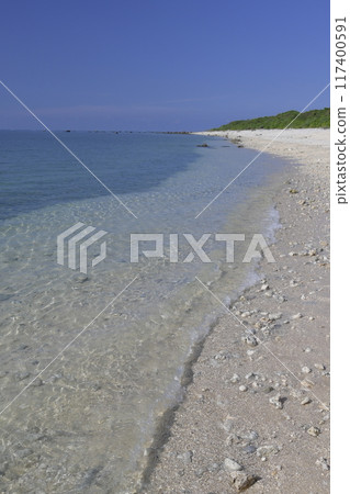 石垣島 117400591