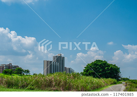 Apartment buildings on the super embankment as seen from the waterfront of the Yodo River 117401985