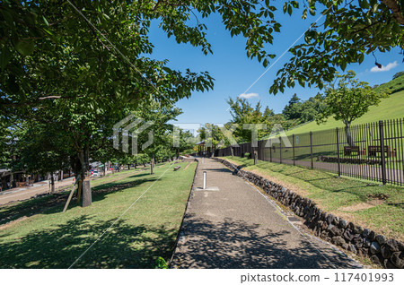 Walking trail at the foot of Mount Wakakusa in Nara 117401993