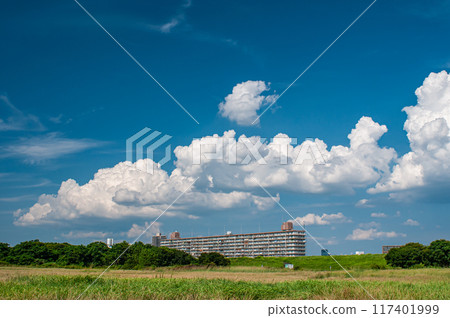 仲夏淀川公園 大阪府枚方市 117401999