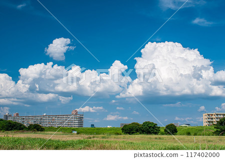 仲夏淀川公園 大阪府枚方市 117402000