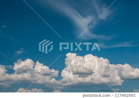 漂浮在藍天的棉花雲 117402001