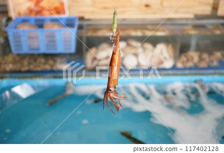 Squid fishing at the Hakodate Morning Market in Hokkaido 117402128