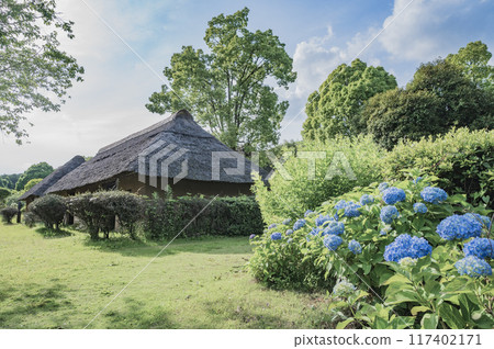 Buildings from the Nara and Heian periods (Hitachi Fudoki Hill, Ishioka City) 117402171