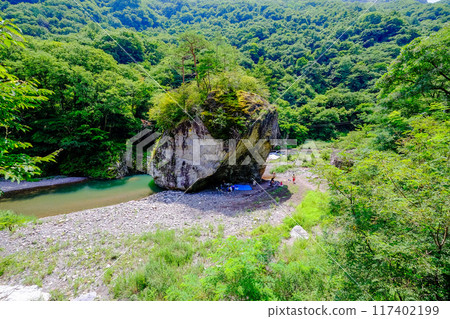 圓形岩石周圍環繞著新鮮的綠色植物 圓形岩石周圍環繞著新鮮的綠色植物 117402199