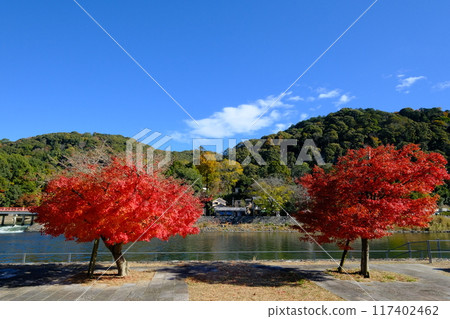 Uji River Tower Island in Autumn 117402462