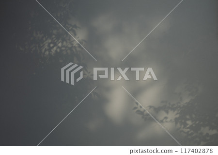 Shadows of branches and leaves reflected on a white wall: dark 117402878