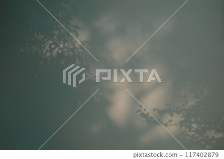 Shadows of branches and leaves reflected on a white wall Dark High saturation Shadows of branches and leaves reflected on a white wall Dark High saturation 117402879