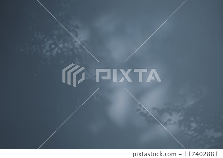 樹枝和樹葉的陰影反射在白牆上，深色，冷色 117402881