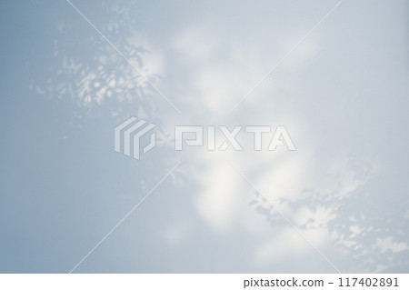Shadows of branches and leaves reflected on a white wall. Light and cool colors. 117402891