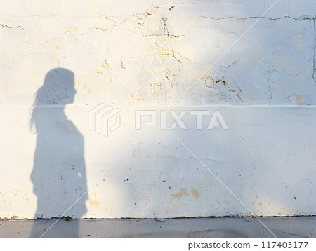 Silhouette of a woman in the shadow 117403177