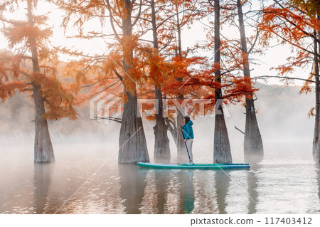 Woman on stand up paddle board at the river with swamp trees and fog 117403412