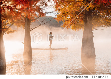 Woman on stand up paddle board at river with morning fog and autumnal Taxodium distichum trees Woman on stand up paddle board at river with morning fog and autumnal Taxodium distichum trees 117403414