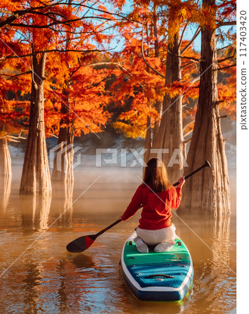 Woman on stand up paddle board on river with autumnal trees 117403420